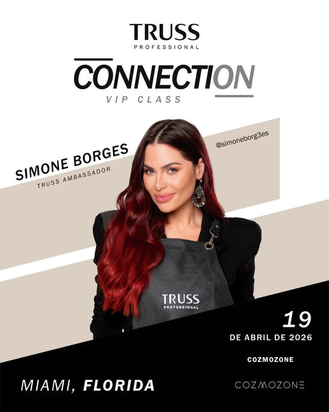 TRUSS CONNECTION - SIMONE BORGES -APRIL 19, 2025